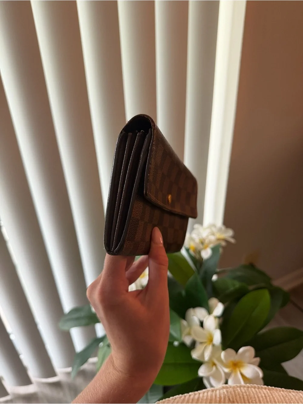 Louis Vuitton Epene Damier Women's Wallet Clutch